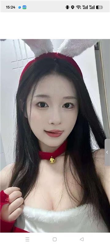 市桥附近莉莉